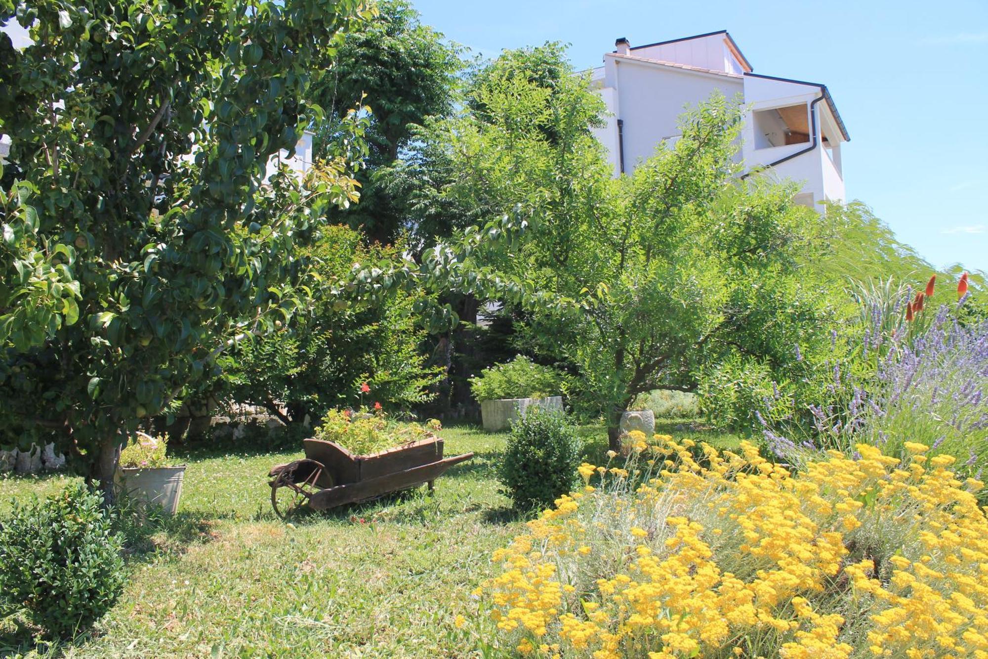 Apartments 501 - Rab Island Oasis Retreat Супетарска-Драга Экстерьер фото