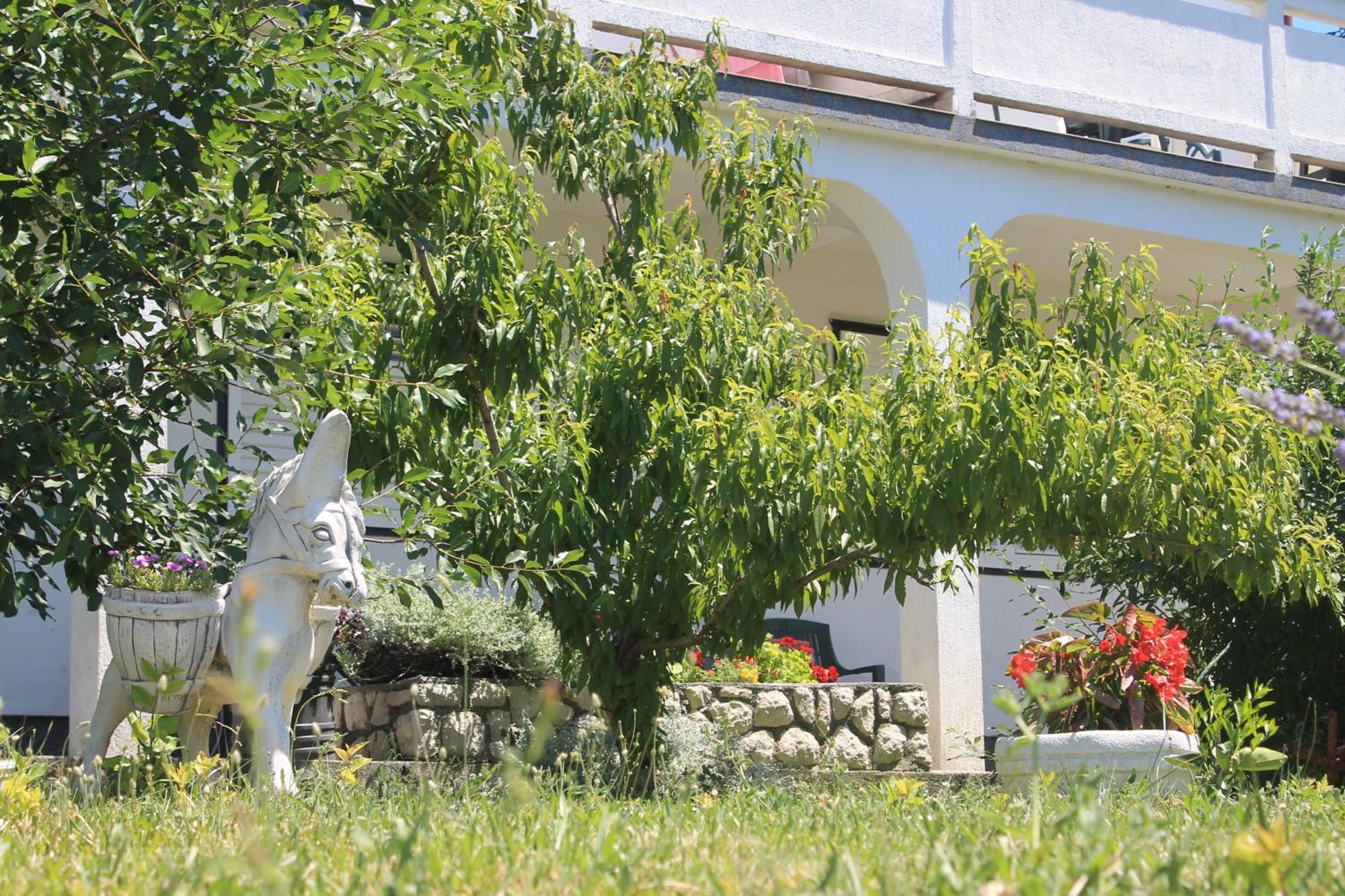 Apartments 501 - Rab Island Oasis Retreat Супетарска-Драга Экстерьер фото