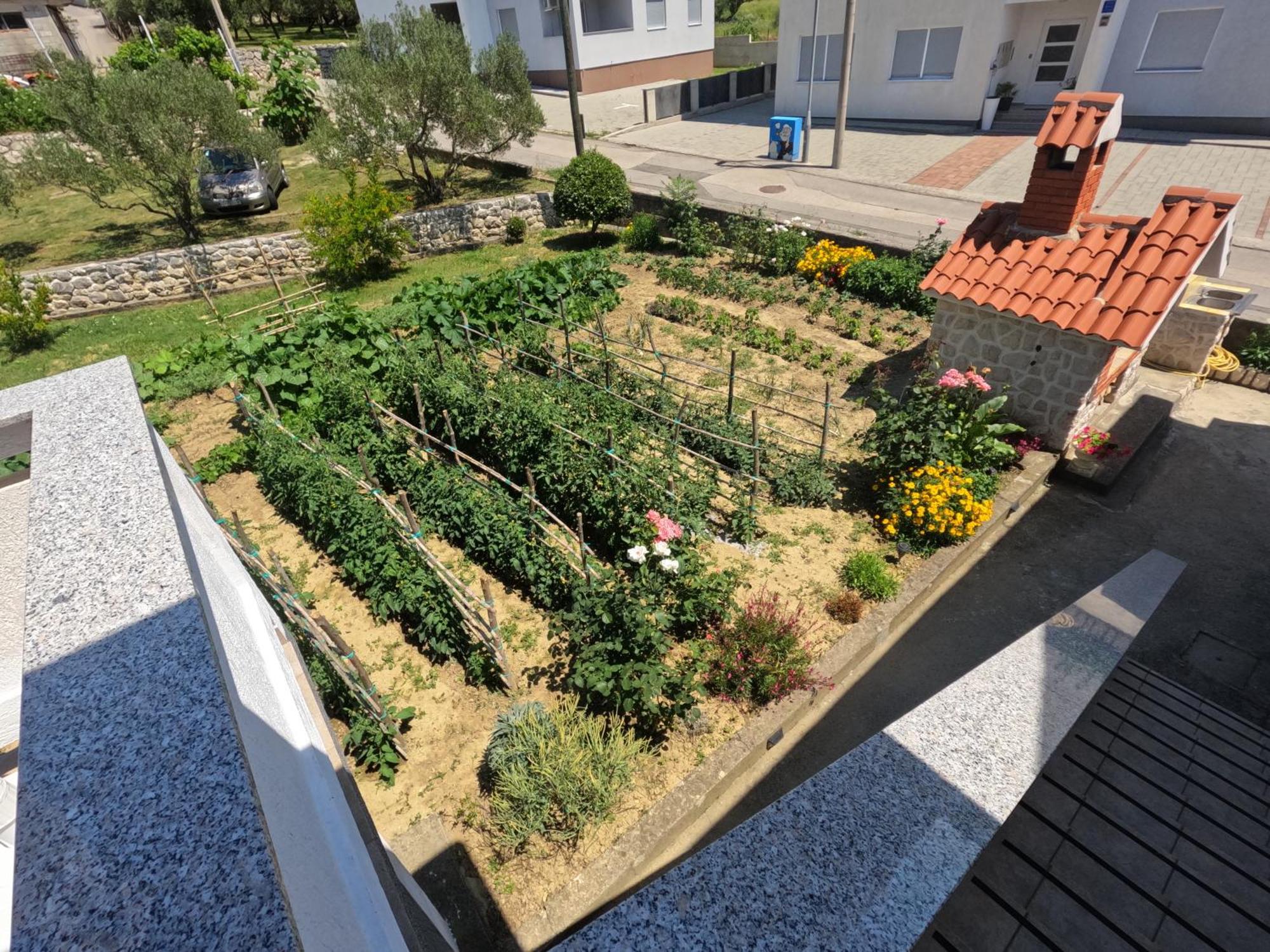 Apartments 501 - Rab Island Oasis Retreat Супетарска-Драга Экстерьер фото